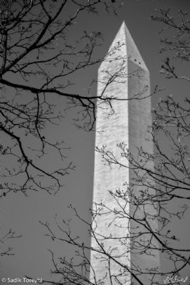   Washington Monument
